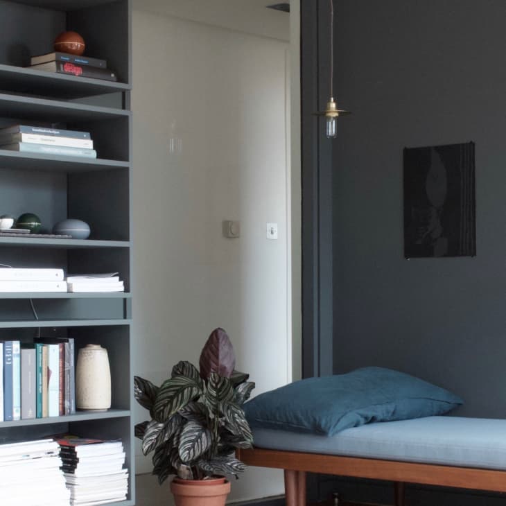 Dark gray room with a wall-mounted bookshelf, potted plant, and a daybed with a blue cushion.