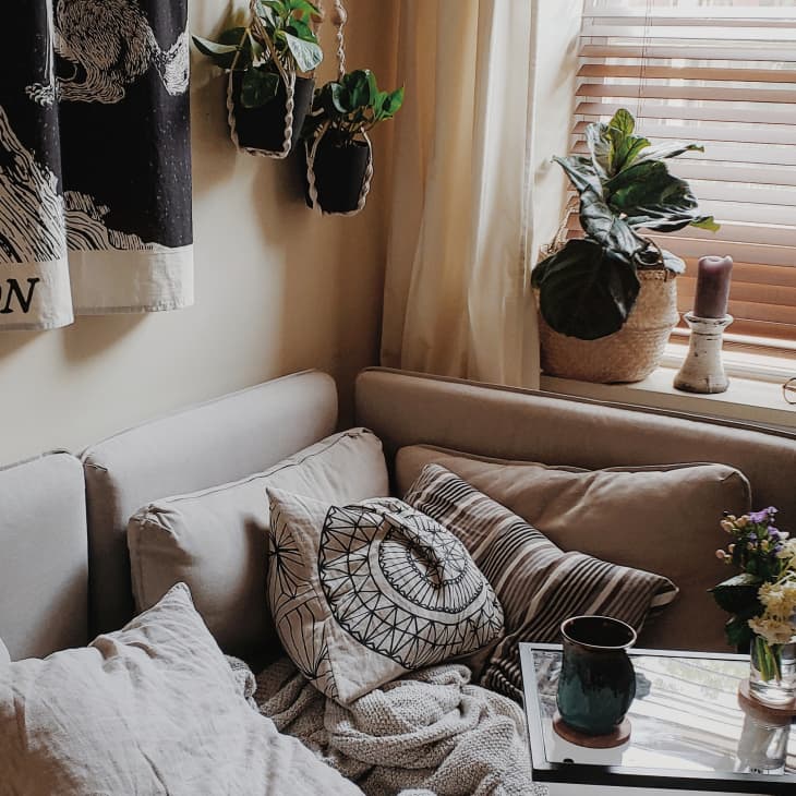 Cozy corner with beige sofa, patterned pillows, hanging plants, and a window with blinds.
