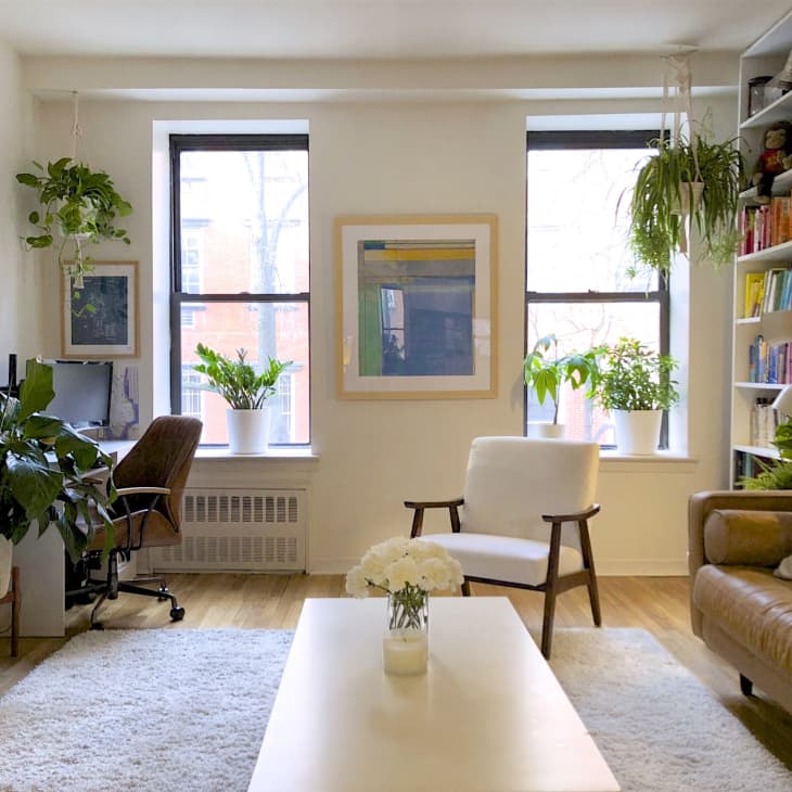 Bright living room with a brown leather sofa, white armchair, plants, bookshelves, and large windows.