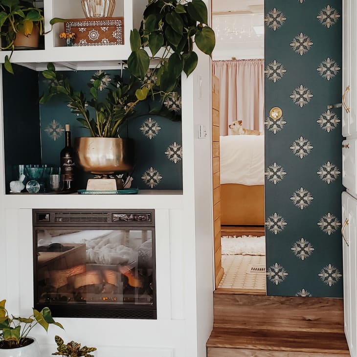 Fireplace with plants and decor on shelves, blue patterned wallpaper, and a glimpse of a cozy bedroom with a dog.