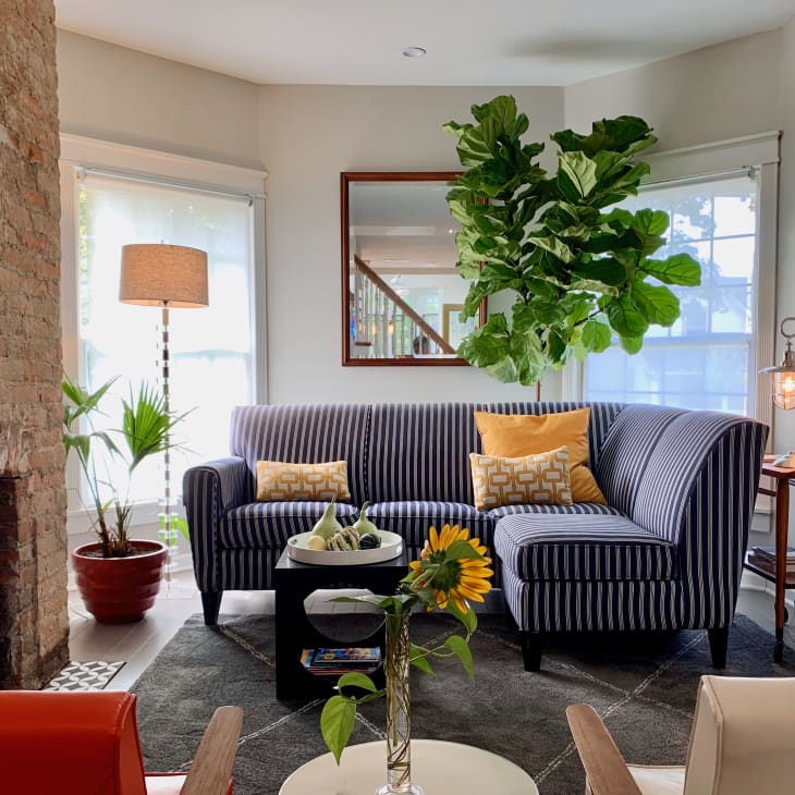Striped sofa with yellow pillows, large potted plant, brick fireplace, and sunflowers on a coffee table in a cozy living room.