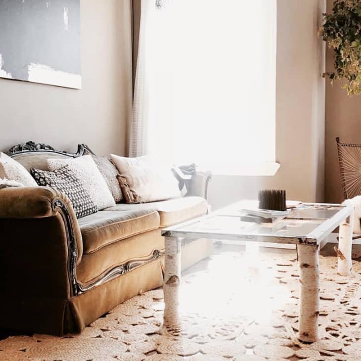 Elegant living room with a vintage sofa, patterned cushions, glass coffee table, and hanging plant near a sunlit window.