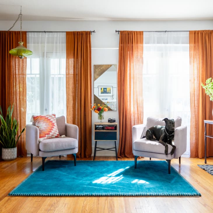 Living room with orange curtains, blue rug, two armchairs, a dog, plants, and a console table with decor.