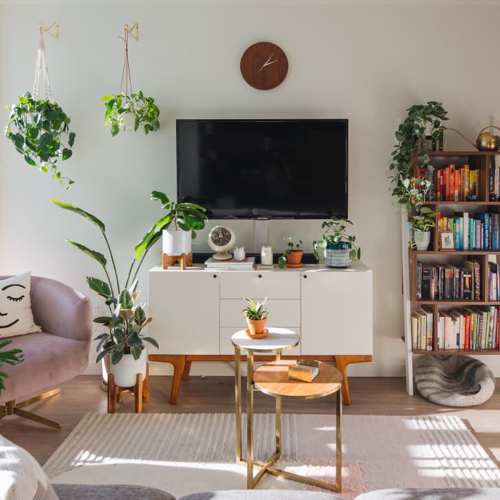 Living room with a TV, white cabinet, bookshelves, plants, pink chair, and a round wall clock.