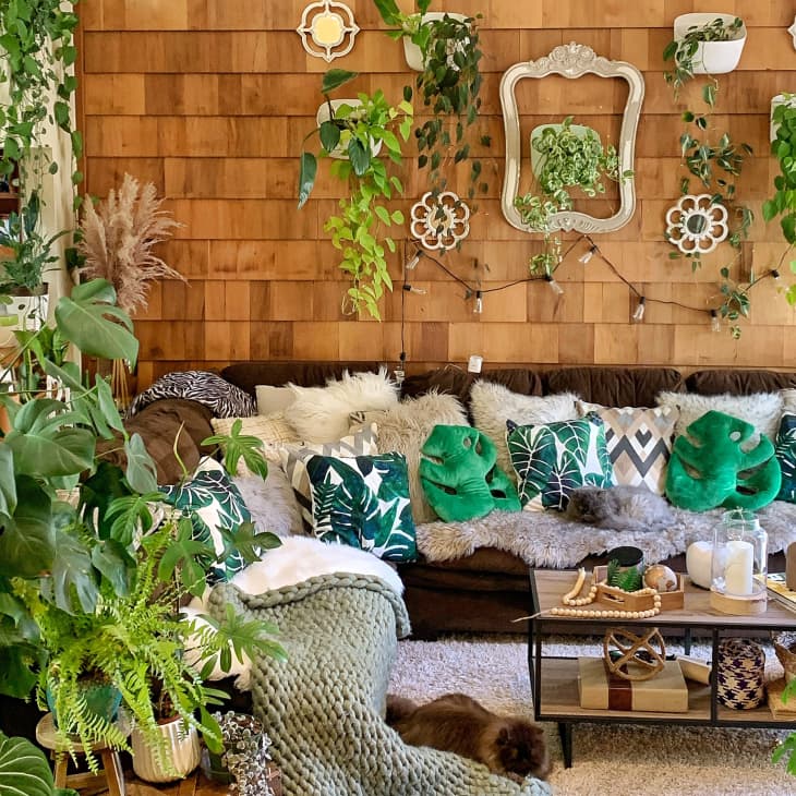 Bohemian living room filled with plants and plant-shaped pillows with more plants hung on the wall