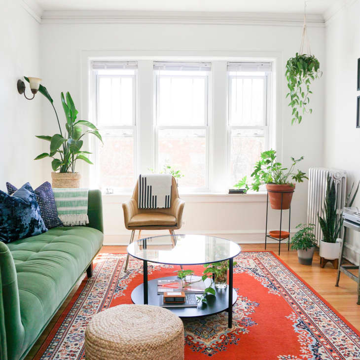 Living room with green velvet sofa, red patterned rug, glass coffee table, and various potted plants by large windows.