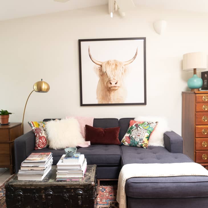 Living room with a dark blue sectional sofa, colorful pillows, a gold floor lamp, and a framed cow print on the wall.