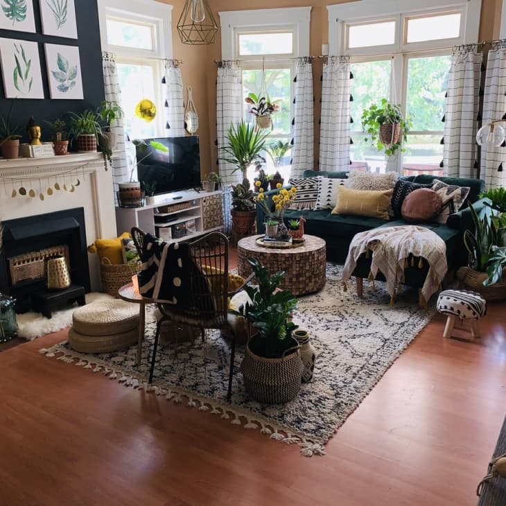 A big living room filled with hanging plants, a TV in the corner, and a cozy rug on the floor.
