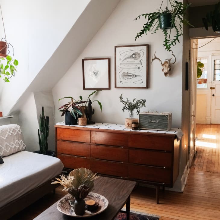 Cozy living room with a white sofa, wooden dresser, hanging plants, framed art, and a Marshall speaker.