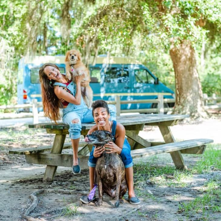 Two people with dogs at a picnic table in a park, blue van in background.