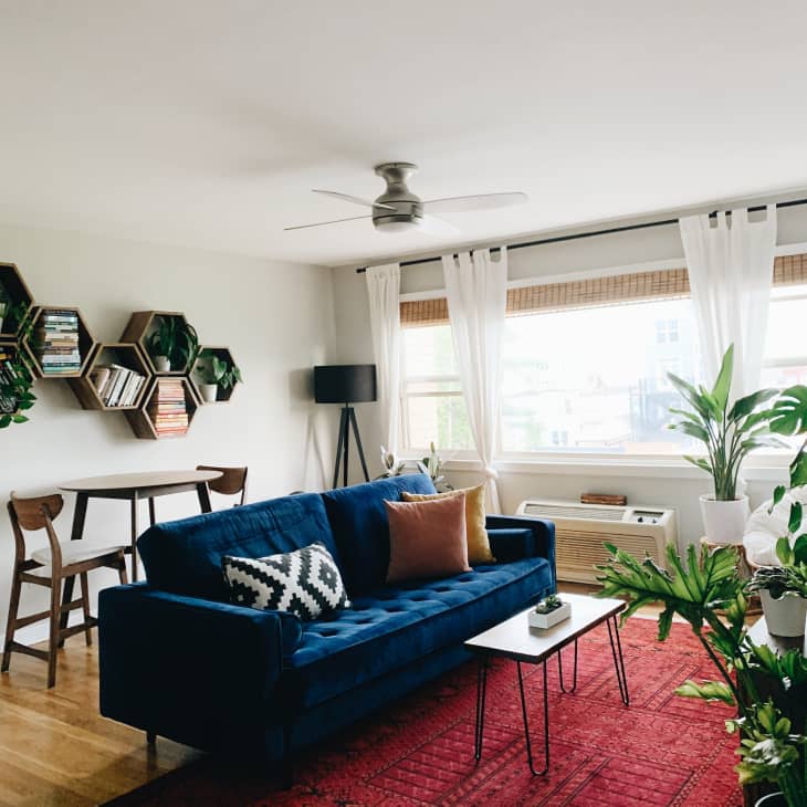 Living room with blue sofa, red rug, hexagonal shelves, plants, and a ceiling fan.