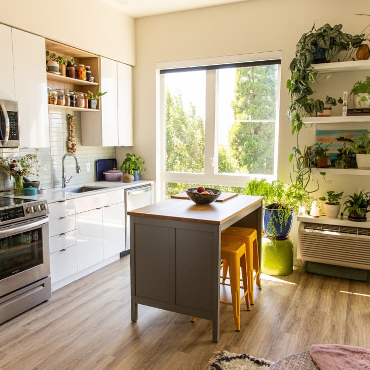 Bright light filled modern kitchen with open shelving and lots of plants