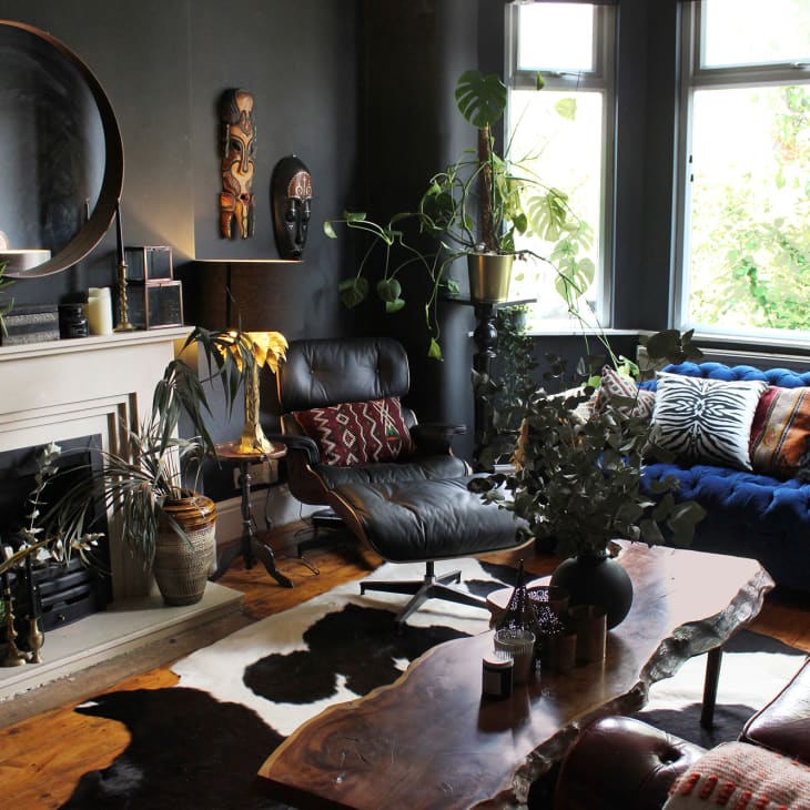 Cozy living room with dark walls, blue velvet sofa, leather chair, plants, and a wooden coffee table.