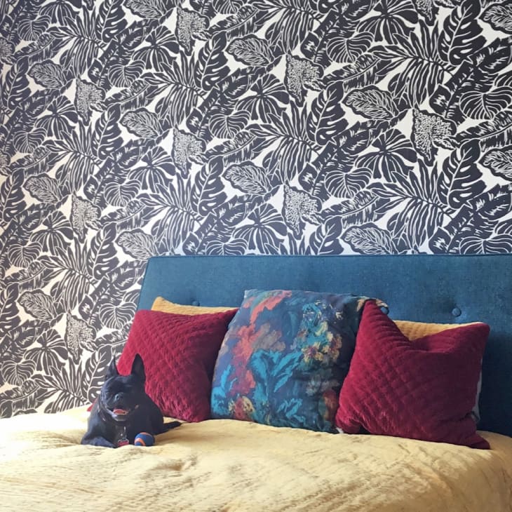 Blue upholstered bed with colorful pillows against a black and white leaf-patterned wallpaper.