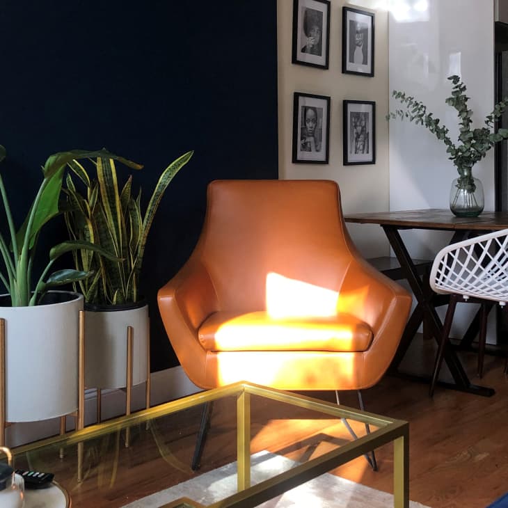 Sun shining on leather chair next to plants
