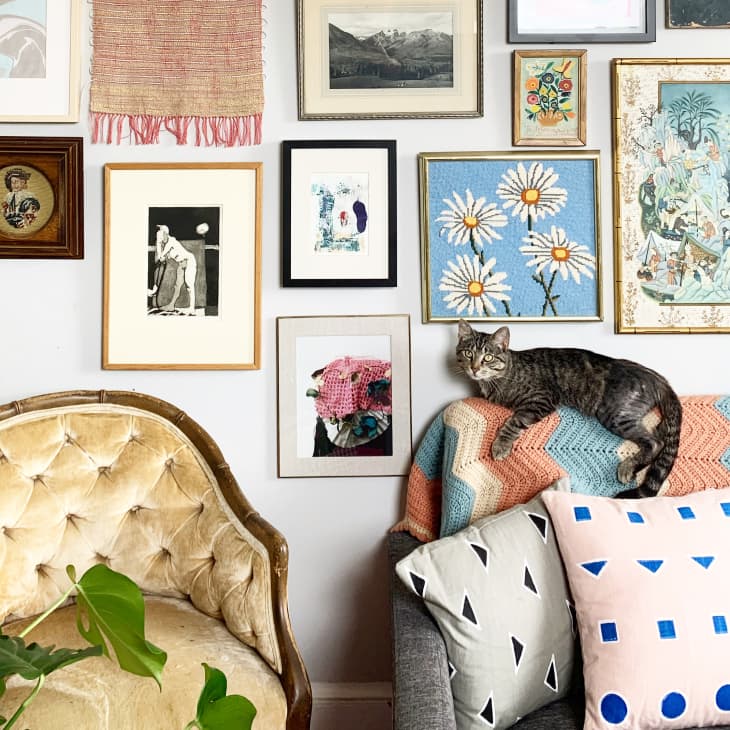 Gallery wall behind gray sofa with cat and afghan resting on it