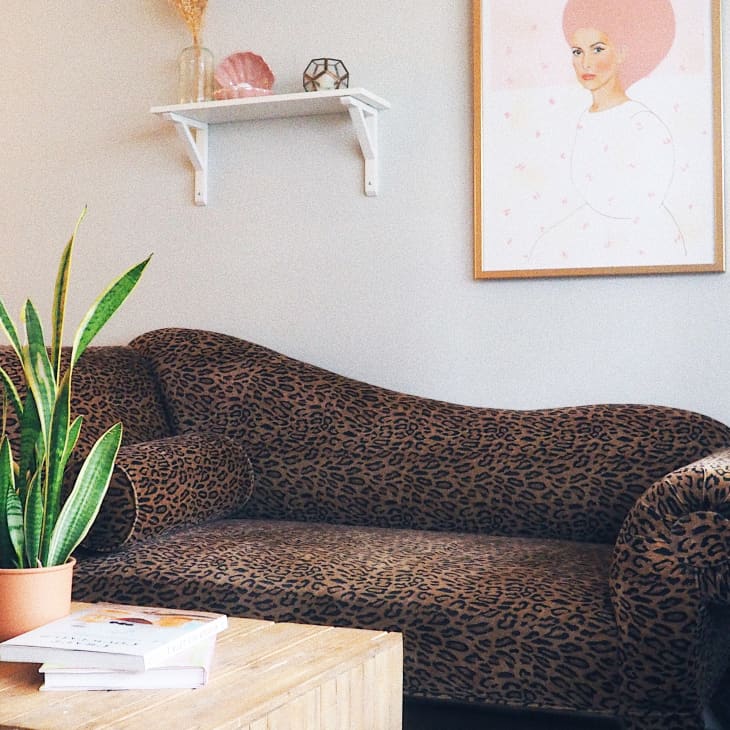 Leopard print sofa with a snake plant on a wooden table, under a portrait and shelf with decor items.