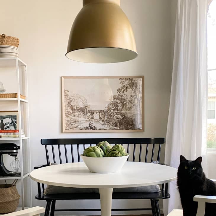 Cat sitting on chair at dining area with gold metal pendant light above