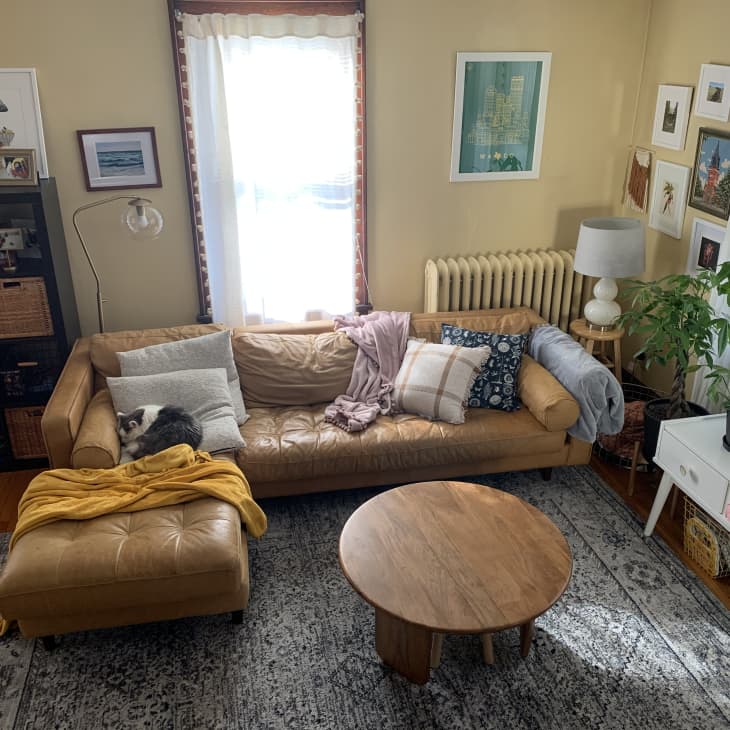 Living room with light brown leather sofa