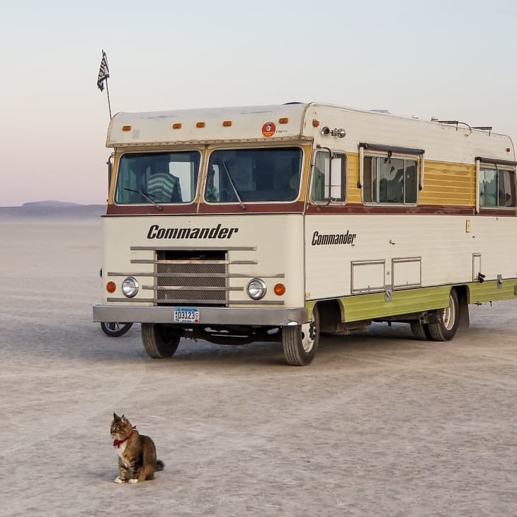 Vintage RV labeled "Commander" parked on a desert landscape with a cat sitting nearby.