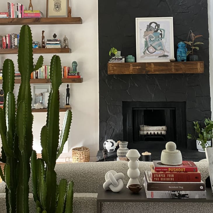 Living room with large cactus, black fireplace, bookshelves, and modern decor on a gray sofa table.