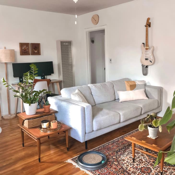 Guitar hanging on wall next to sofa in living room with several plants