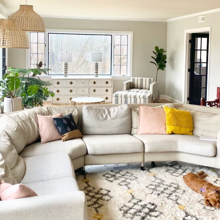 Spacious living room with a beige sectional sofa, colorful pillows, woven pendant lights, plants, and a dog on a patterned rug.