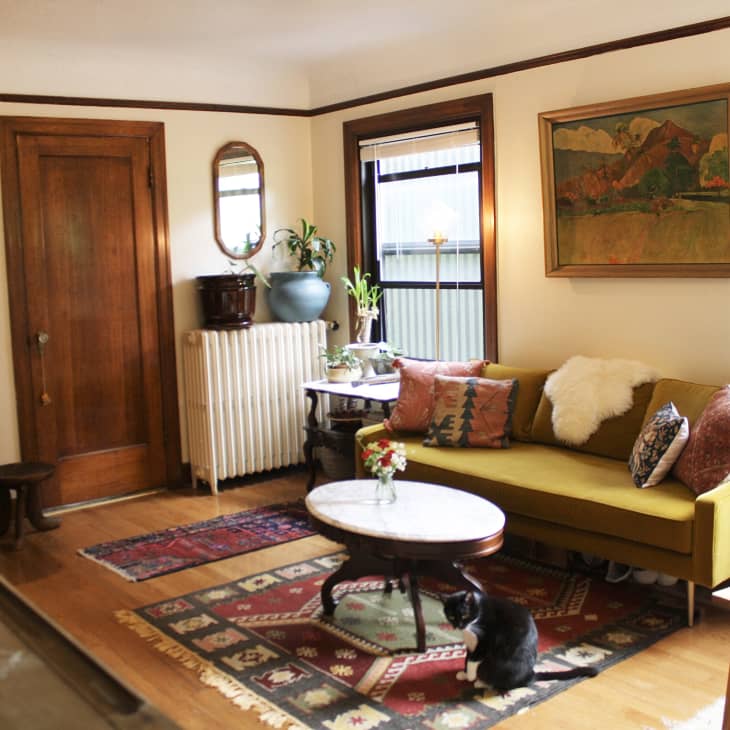 Cozy living room with a mustard sofa, colorful cushions, plants, and a cat on a patterned rug.