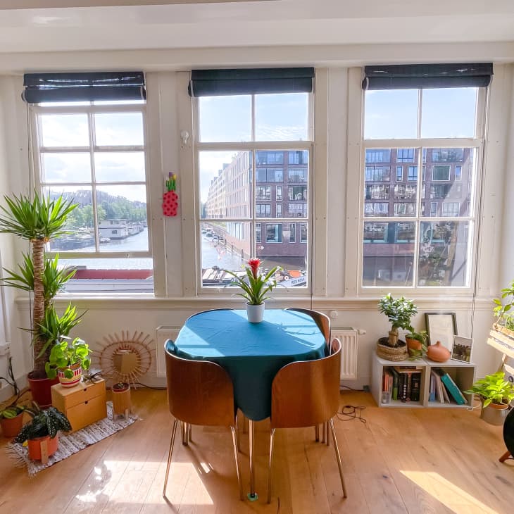Small table with teal tablecloth and plants in front of large windows