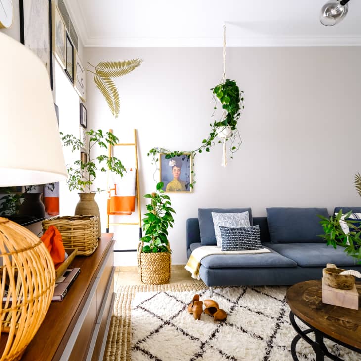 Bright living room with blue-gray sectional, Beni Ourain-like rug, and lots of plants