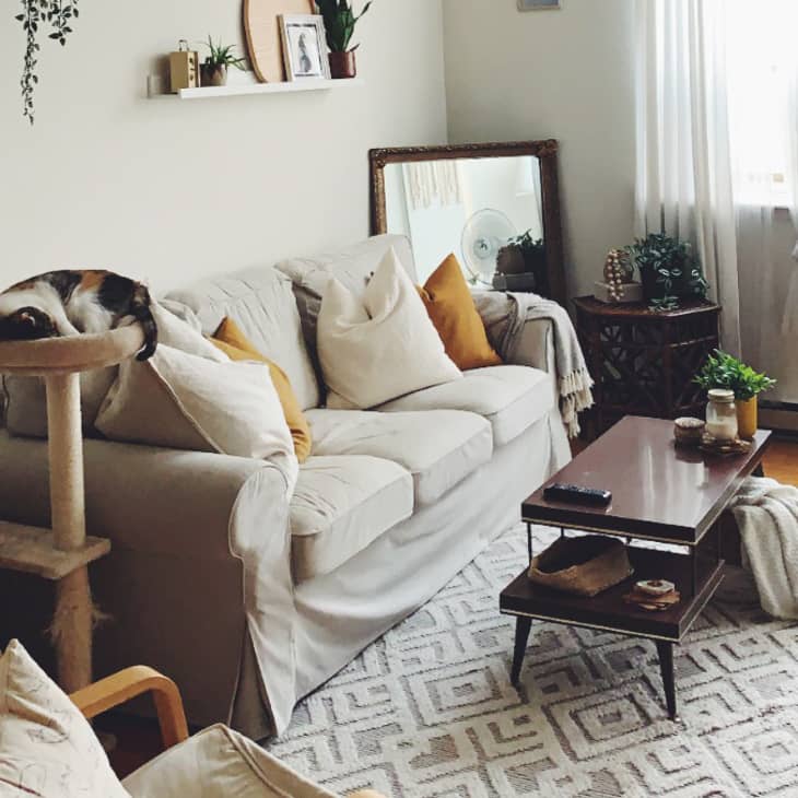 Gray couch with gold pillows beneath shelves on wall and next to mirror in corner