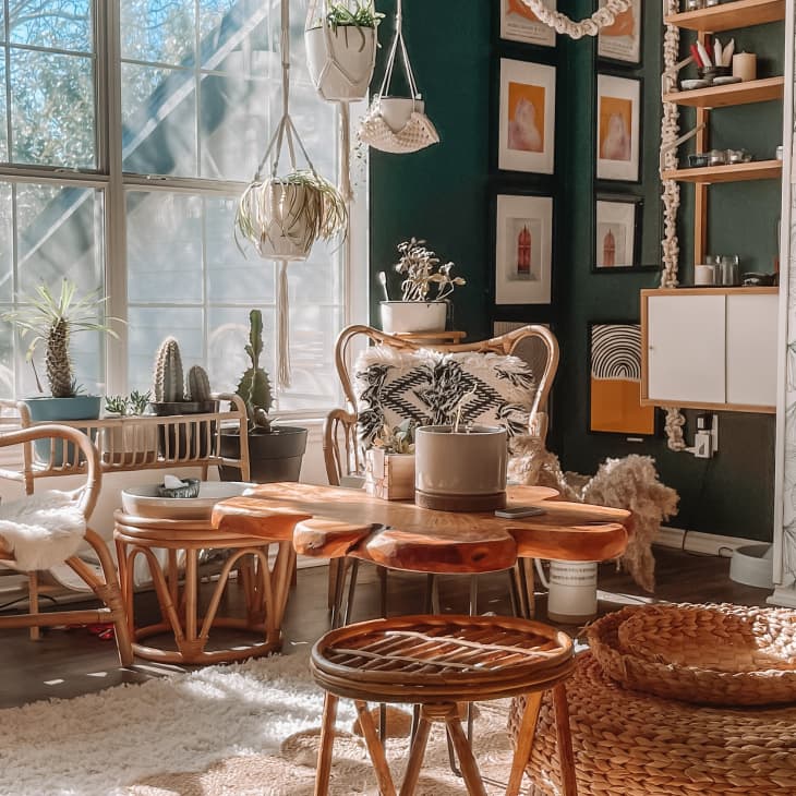 Sunlit living room with rattan furniture, potted cacti, hanging plants, and framed art on dark green walls.