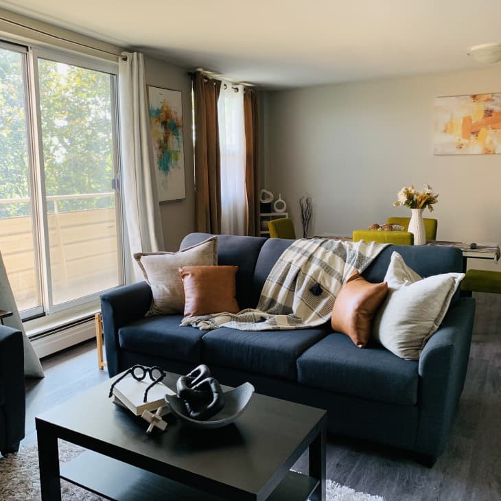 Living room with blue sofa