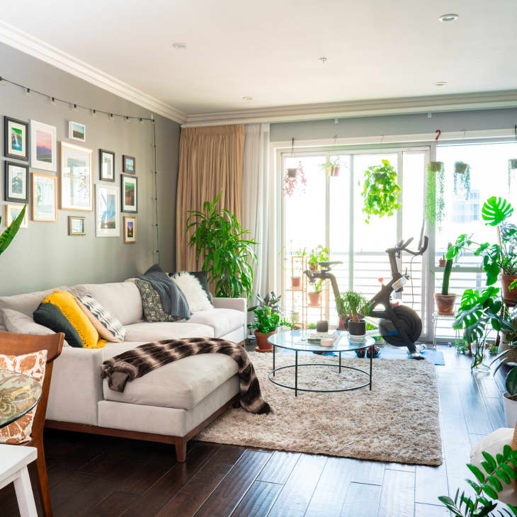 Plant-filled living room with large sectional, gray walls, and large glass sliding doors