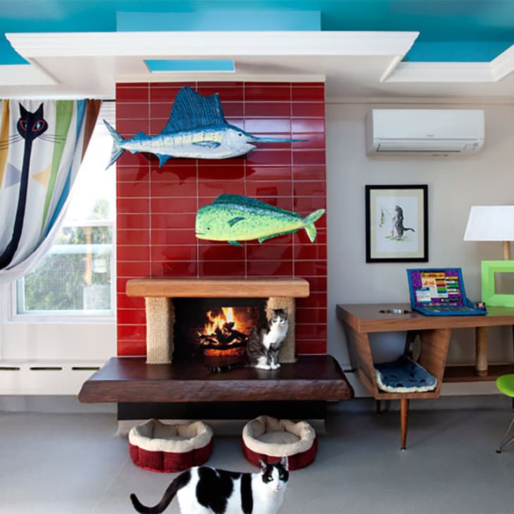 Living room with red tiled fireplace, mounted fish, colorful curtains, desk with lamp, and two cats near pet beds.