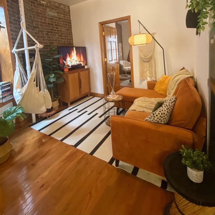 Living room with hammock and striped rug