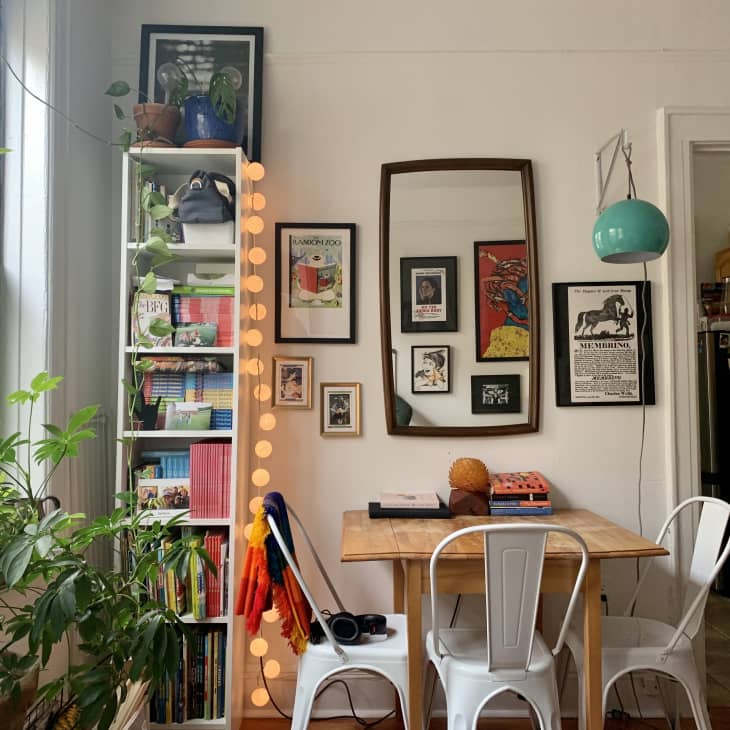 bright dining room with plants