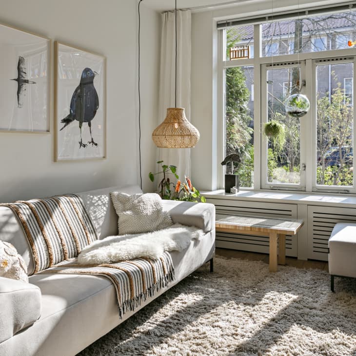 Living room with white couch and bird paintings