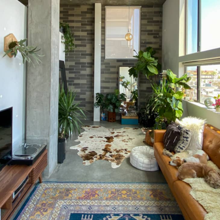 Modern living room with a brown leather sofa, plants, cowhide rug, and large windows overlooking a cityscape.