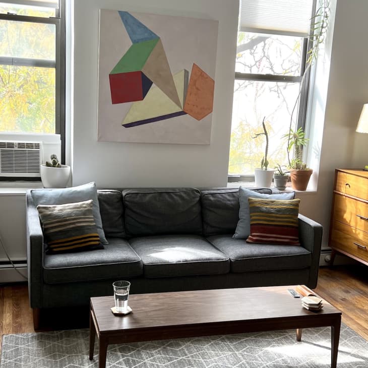 Cozy living room with a gray sofa, colorful pillows, abstract wall art, wooden dresser, and potted plants by the windows.