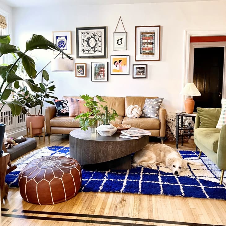 A living room with a gallery wall, a tan couch, a blue rug, and a dog on the rug