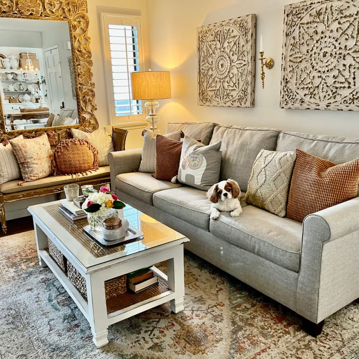 Living room with a small dog sitting on grey Pottery Barn sofa.