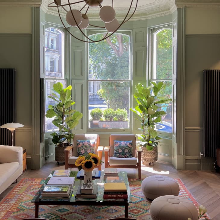 Light green walls with white top trim and bay windows with symmetrical plants and chevron pattern wood floors