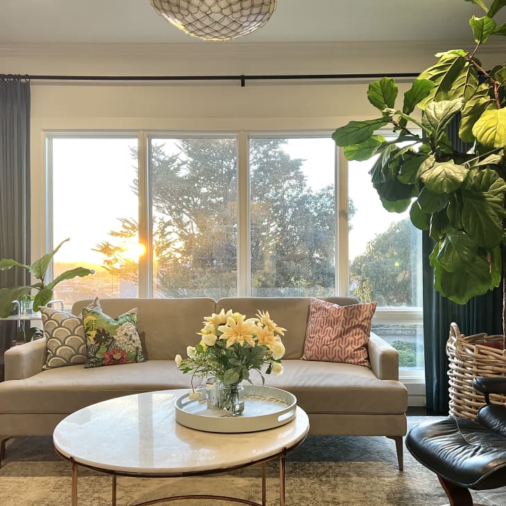 Living room with light gray sofa, round marble coffee table with vase of yellow flowers, black leather chair, large windows behind sofa, ceiling-height fiddle leaf fig tree in basket planter