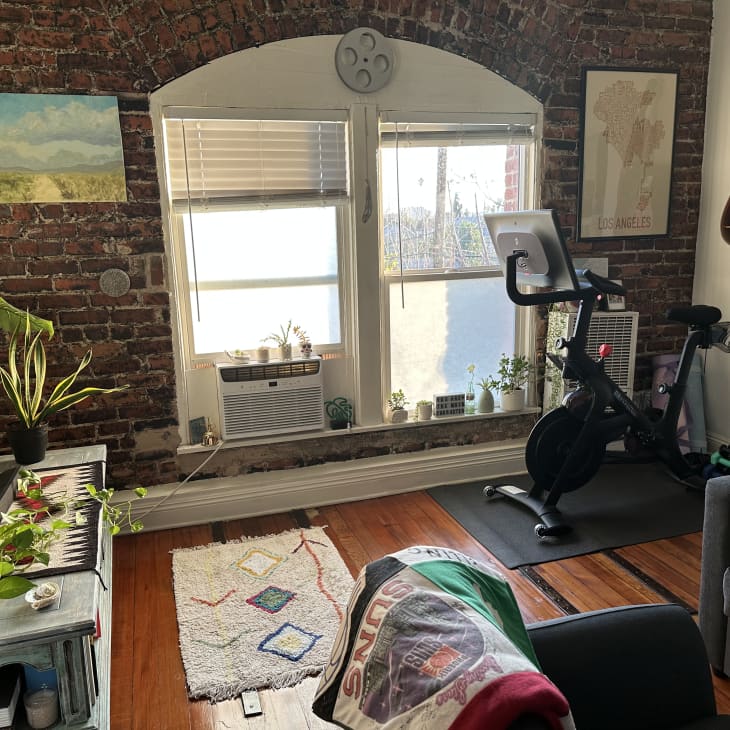 Exposed brick room with exercise bike, guitar on wall, plants on windowsill, and a keyboard with potted plants.