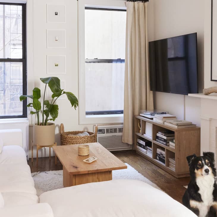 Organic modern neutral-colored West Village apartment living room with sectional sofa, coffee table, decorative fireplace, and fluffy dog sitting on the floor.