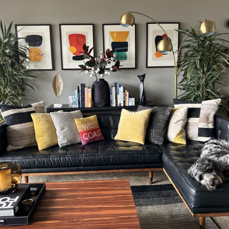 Living room with gray wall, colorful art, black leather midcentury modern sofa, lots of throw pillows, wood coffee table with books, cute dog!