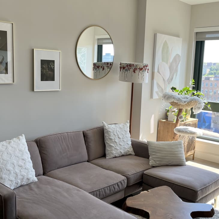 living room with pale gray walls, gray sectional, framed art, round mirror, large window with cat tree, small stool, cat dishes, plants