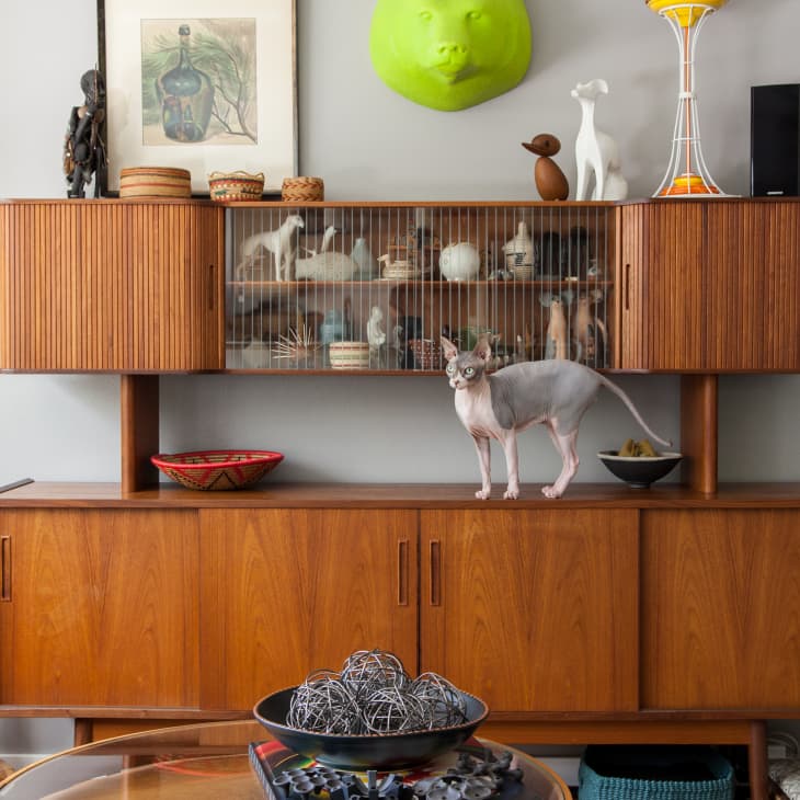 Mid-century modern cabinet with decor items, a Sphynx cat, and tribal masks on the wall.