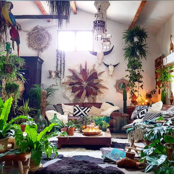 Bohemian, Plant-Filled Renovated Home Tour | Apartment Therapy